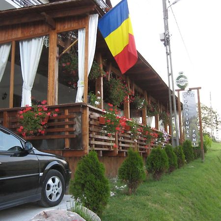 Pensiunea Pomi -Oesti Hotel Albestii Paminteni Eksteriør billede