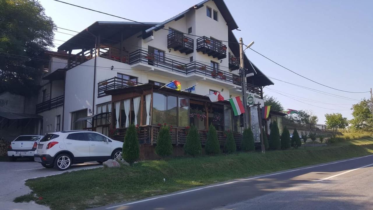 Pensiunea Pomi -Oesti Hotel Albestii Paminteni Eksteriør billede